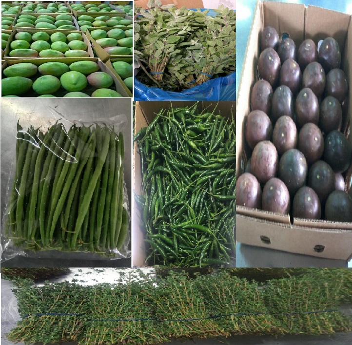 Asia Export Market