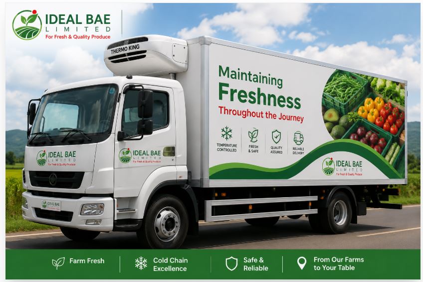 Cold Chain Logistics