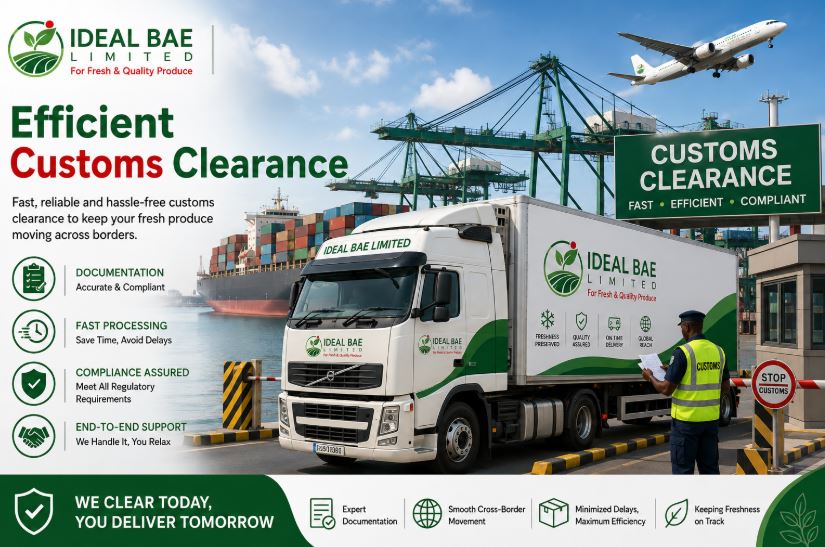 Customs Clearance