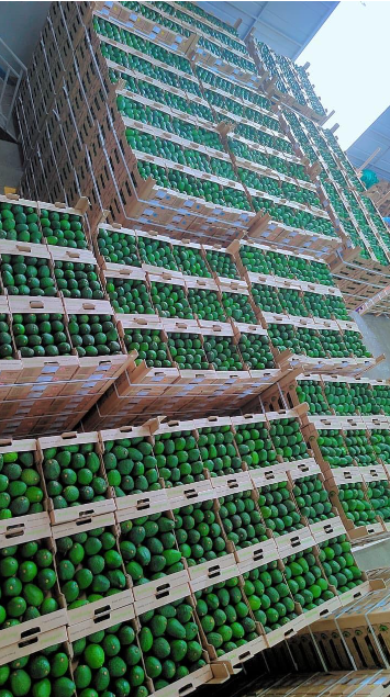 Export Products