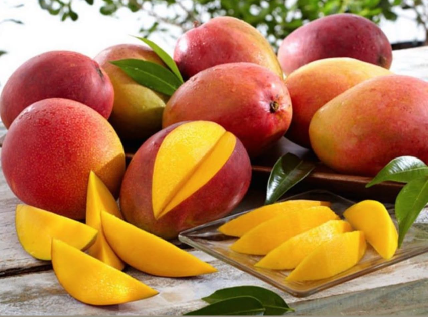 Oranges