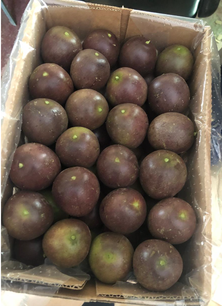 Passion Fruits