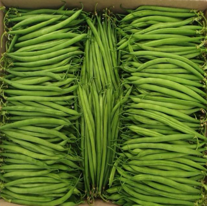 Runner Beans