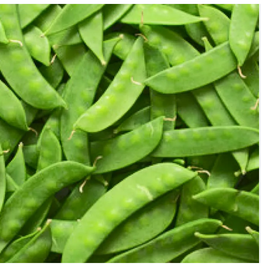 Snow Peas