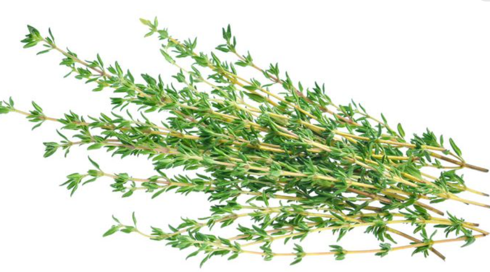 Thyme