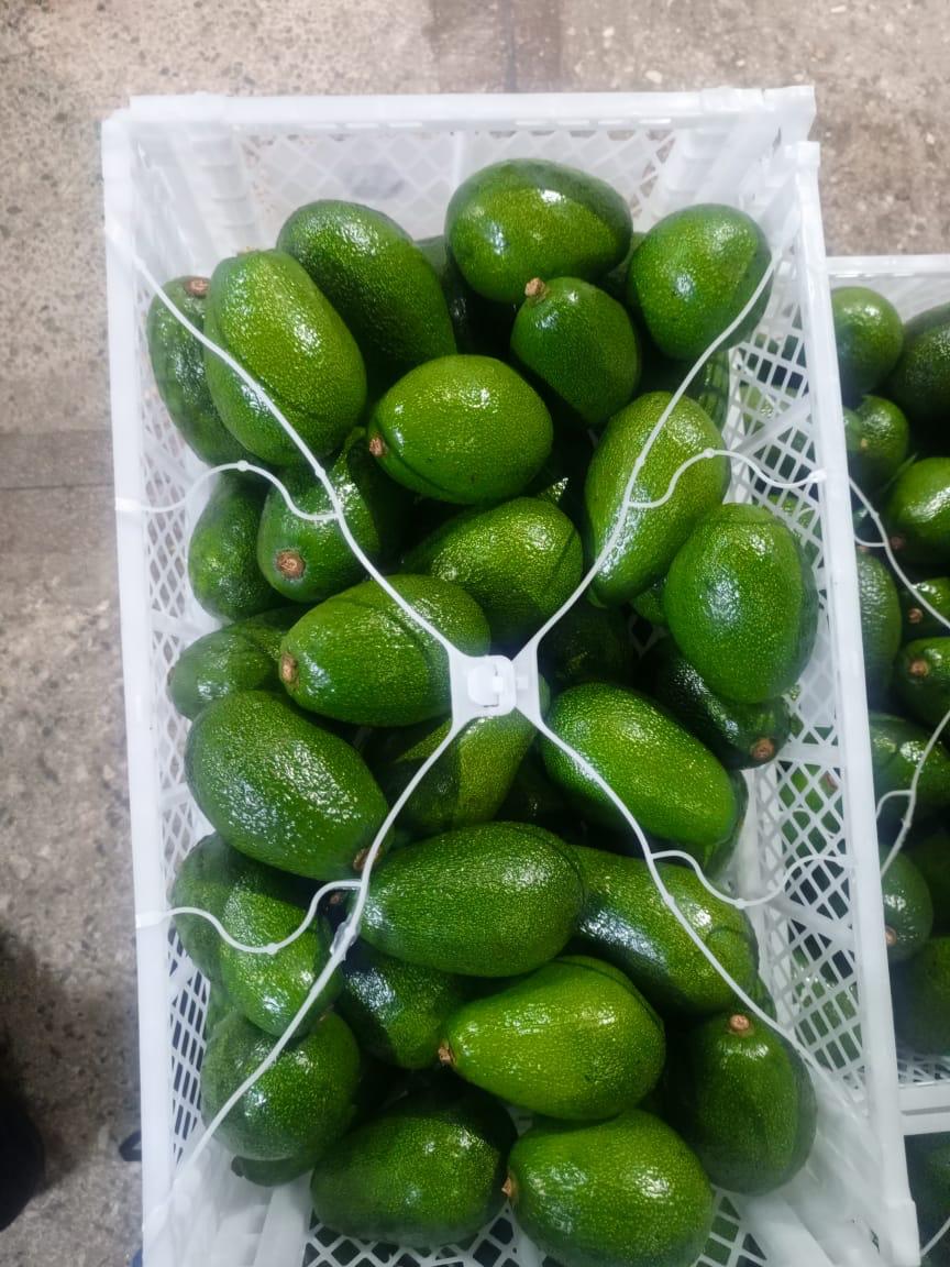Mango