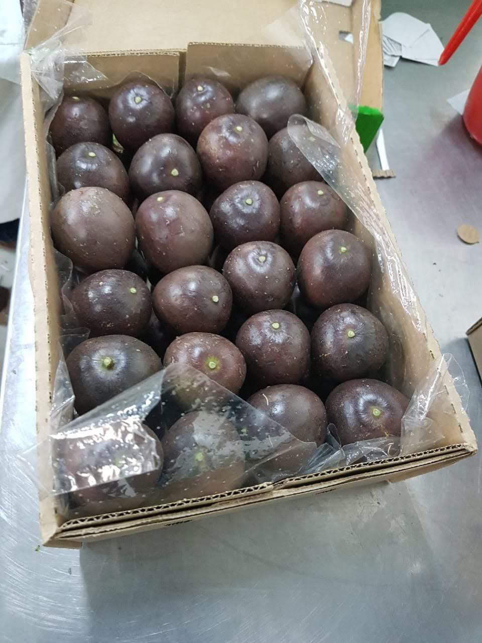 Passion Fruit