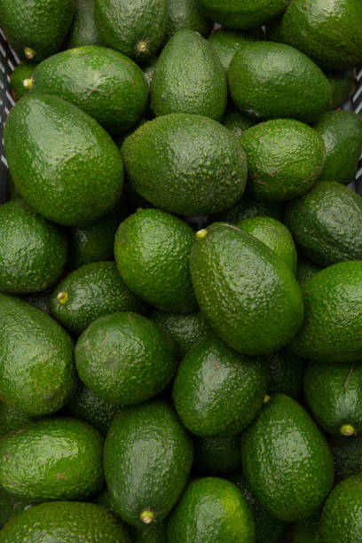 Vegetables Export
