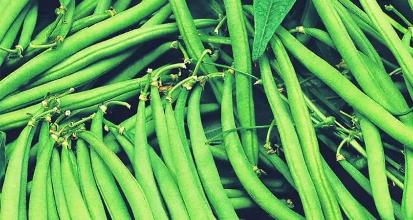 French Beans