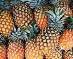 Pineapple